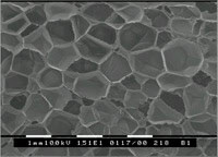 Open and Closed Cells
