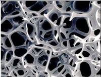 Open and Closed Cells