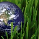Earth and Grass