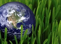 Earth and Grass