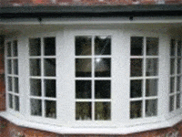 Window